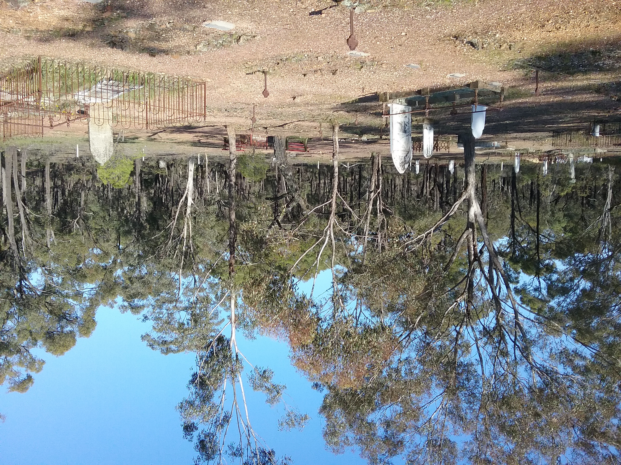 Whroo Cemetery spring morning